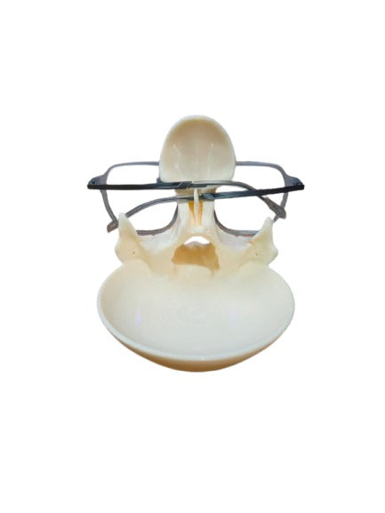 SKULLMATE - Multipurpose Spectacle Holder Stand with Tray